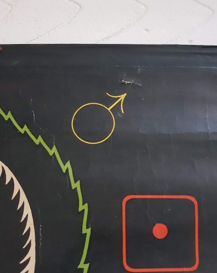 Vintage school poster by Paul Sougy - Selaginella, 1959