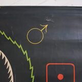 Vintage school poster by Paul Sougy - Selaginella, 1959