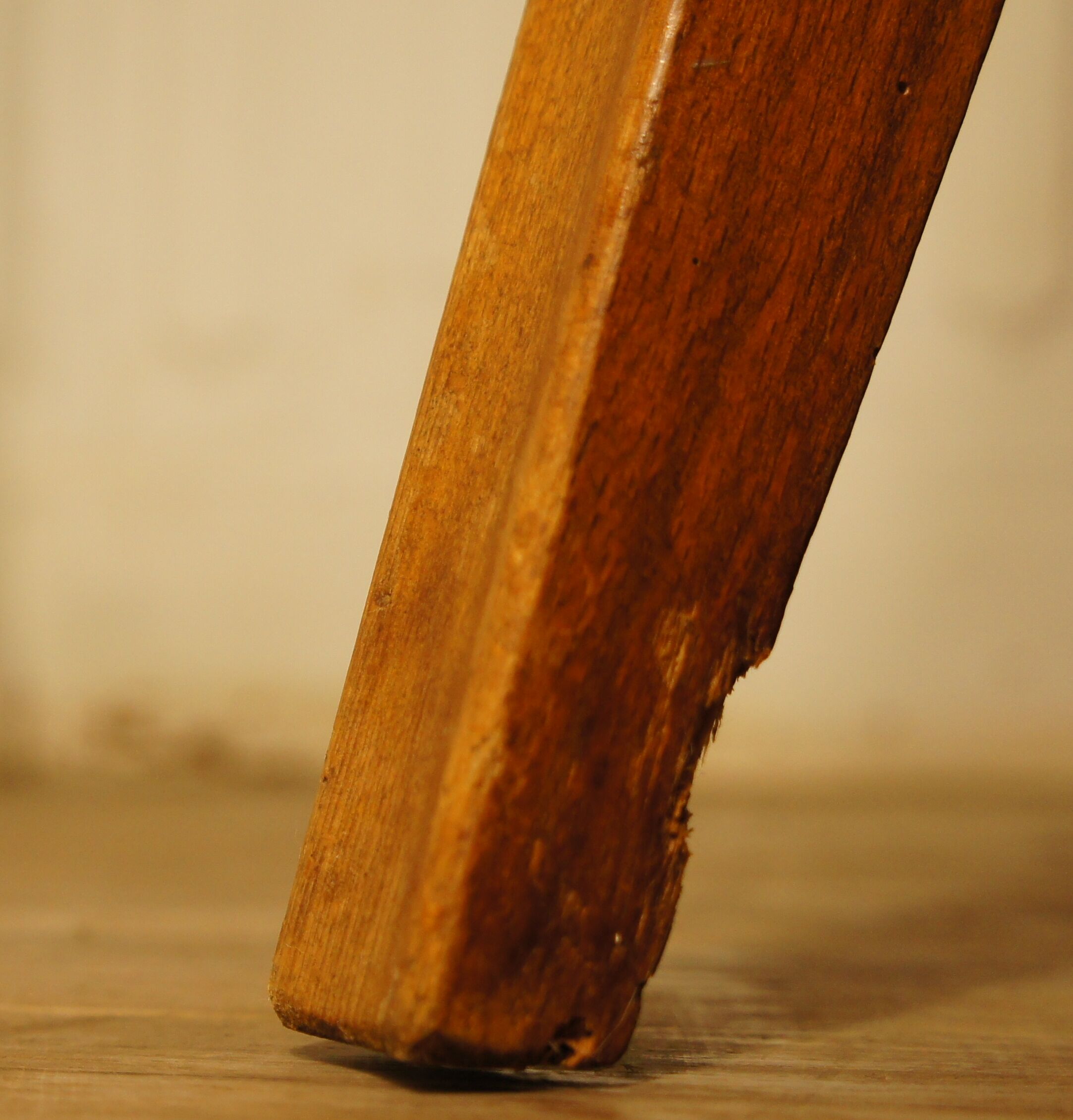 Armchair "Kangaroo" in velvet feet compass
