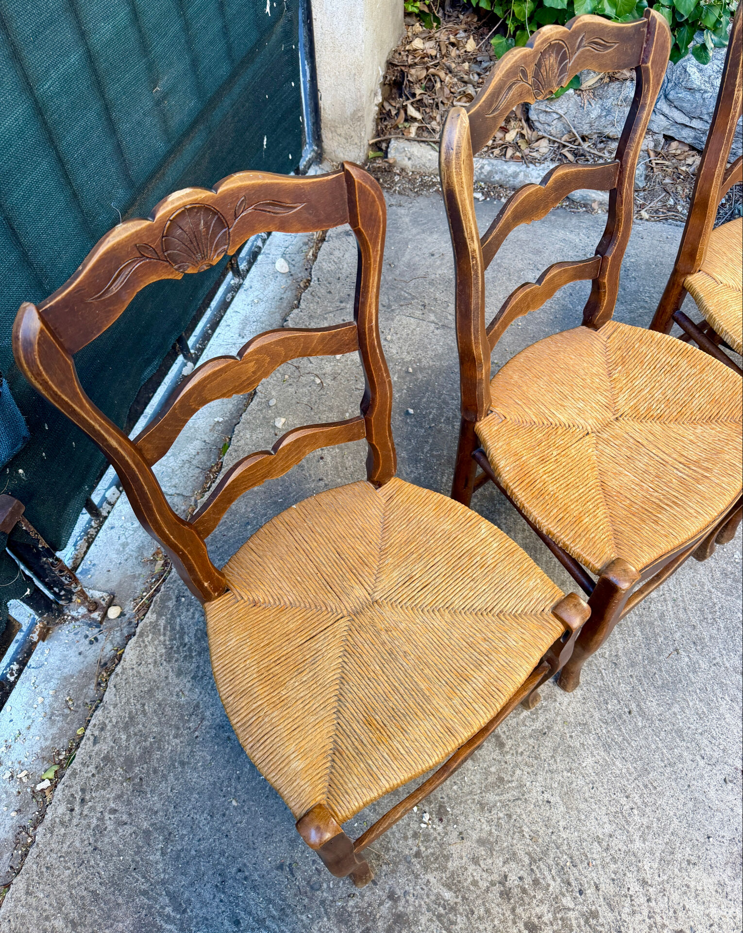 Set of 4 Provençal oak chairs with rush seats.