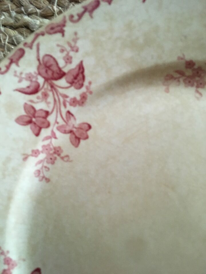 Flat plates Digoin Sarreguemines model "Margot"