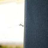 Cabinet 1 door beveled mirror