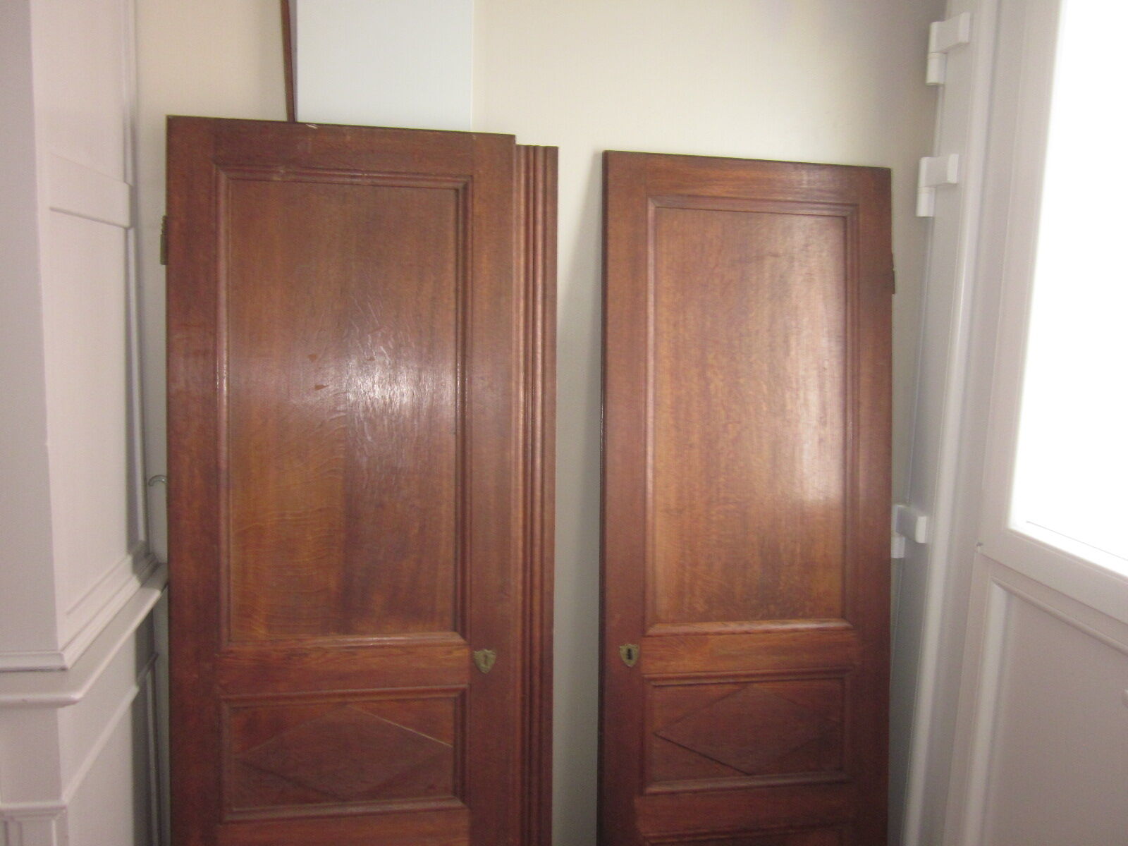 Pair of old door