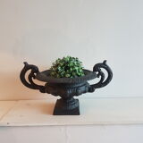 Cast-iron cut