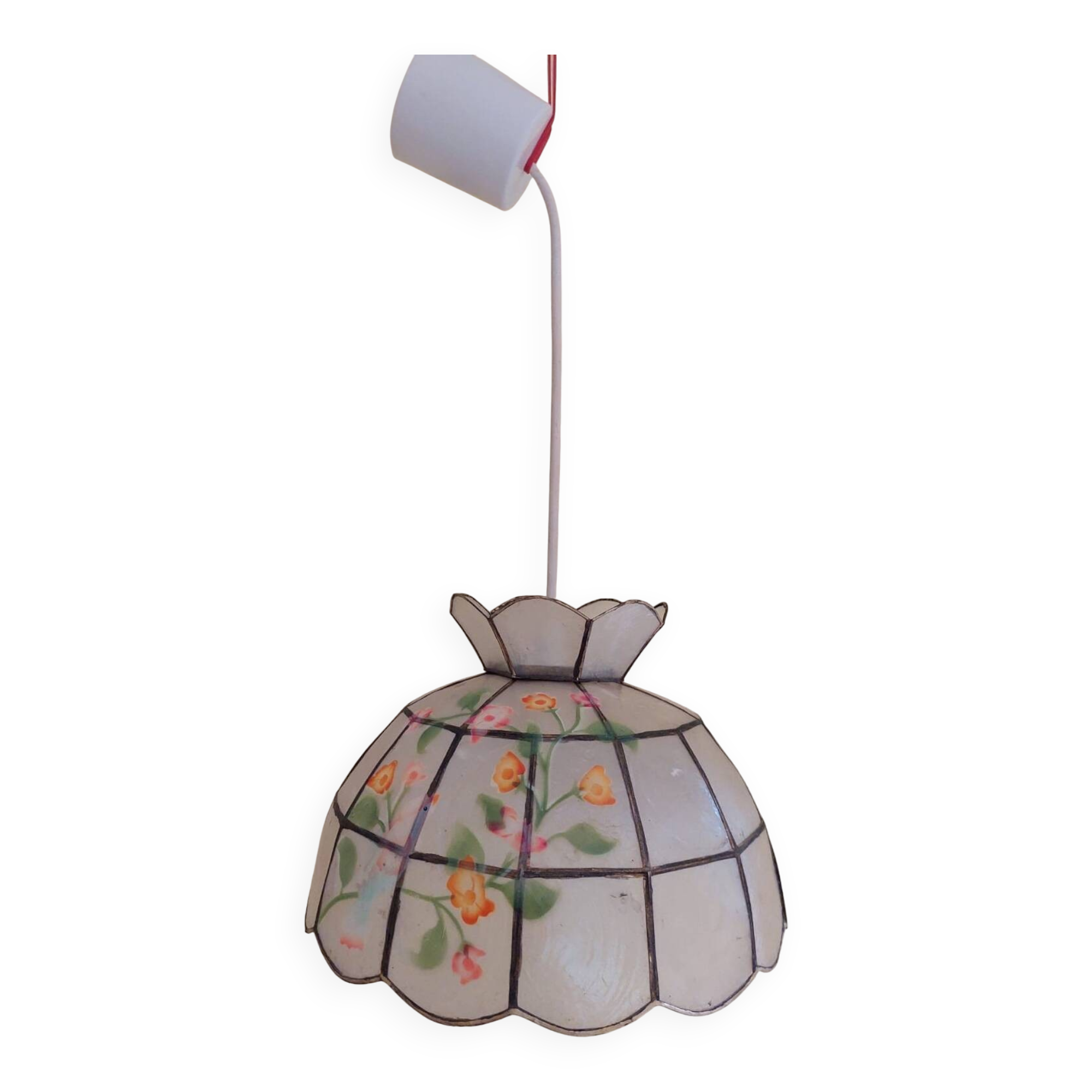 Hand-painted mother-of-pearl pendant light