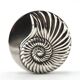 925 silver trinket dish adorned with a shell, 1950s