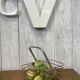 Vintage fruit basket