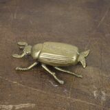 Brass beetle