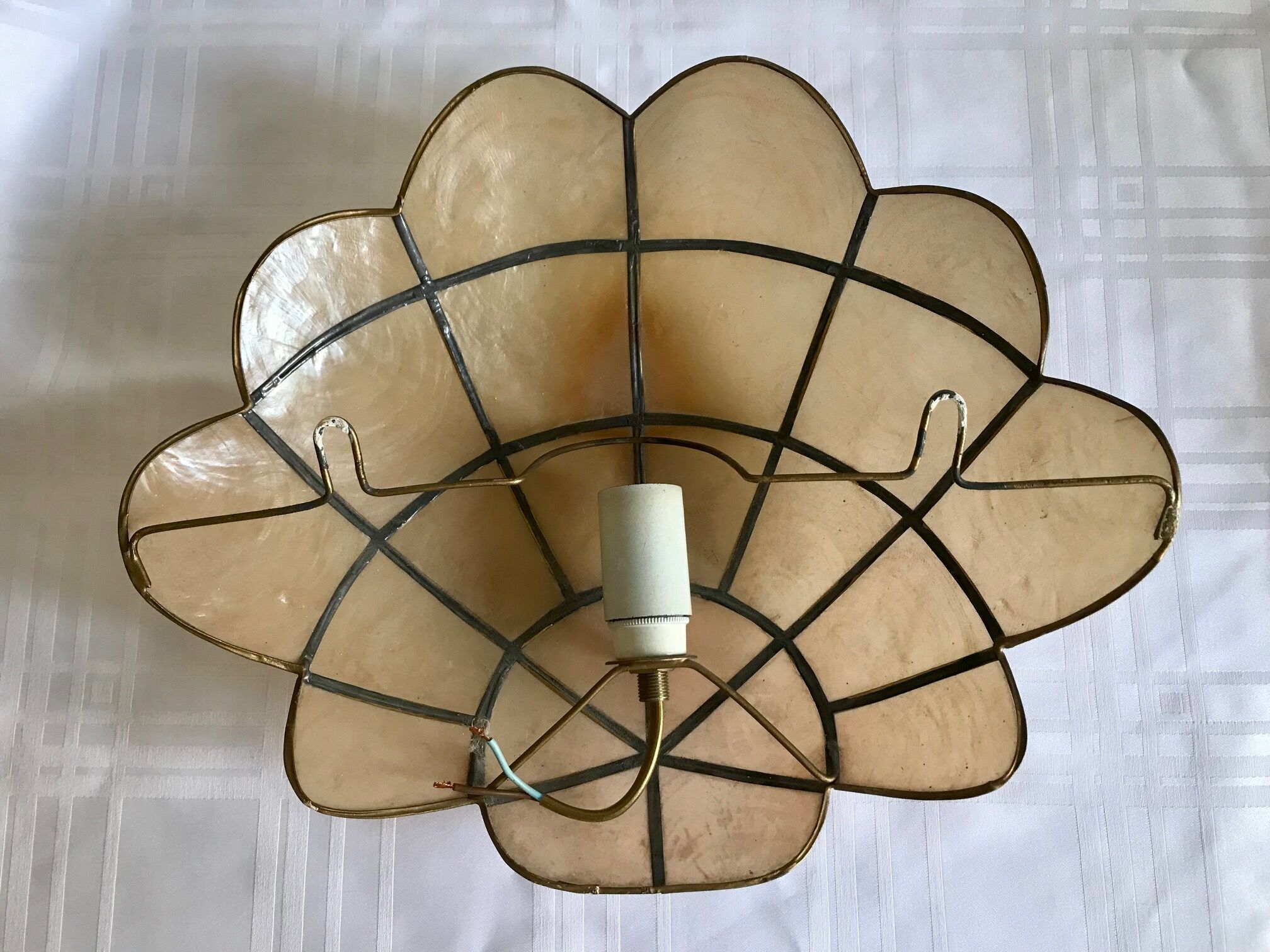 Pair of mother-of-pearl shell sconces