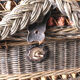 Braided wicker shopping basket