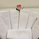 Lot of 7 monogrammed towels