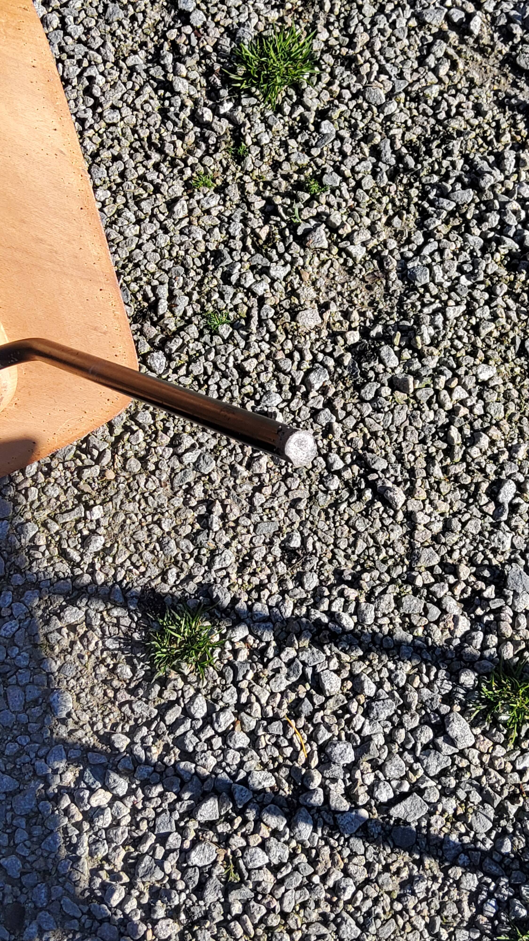 Pair of tonneau chairs by Pierre Guariche plywood base tubes 1954