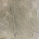 Paire d’huile sur toile « Bouquets de roses »