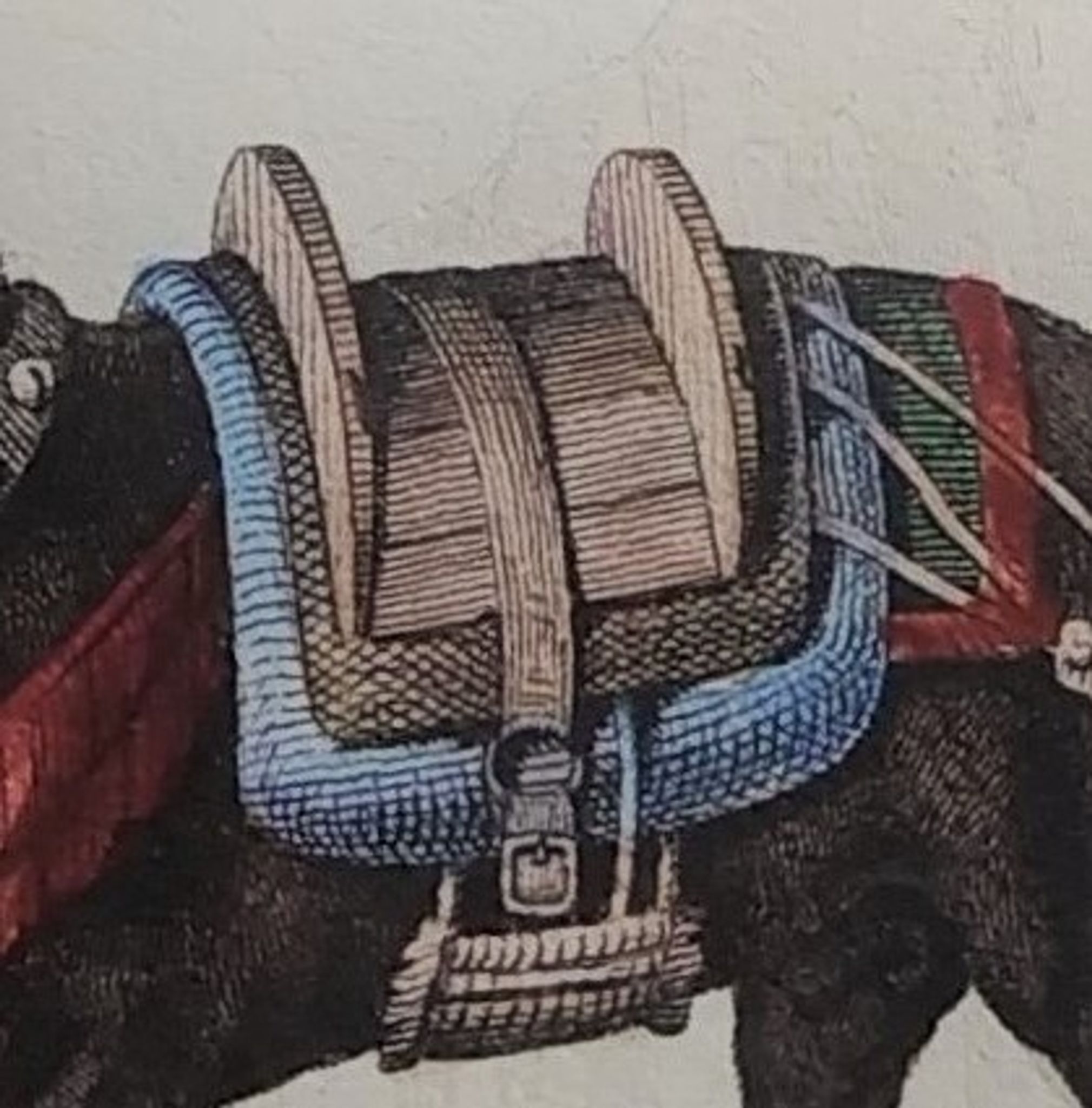 Original zoological plate "zebra & mule" - buffon 1840