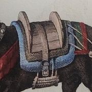 Original zoological plate "zebra & mule" - buffon 1840