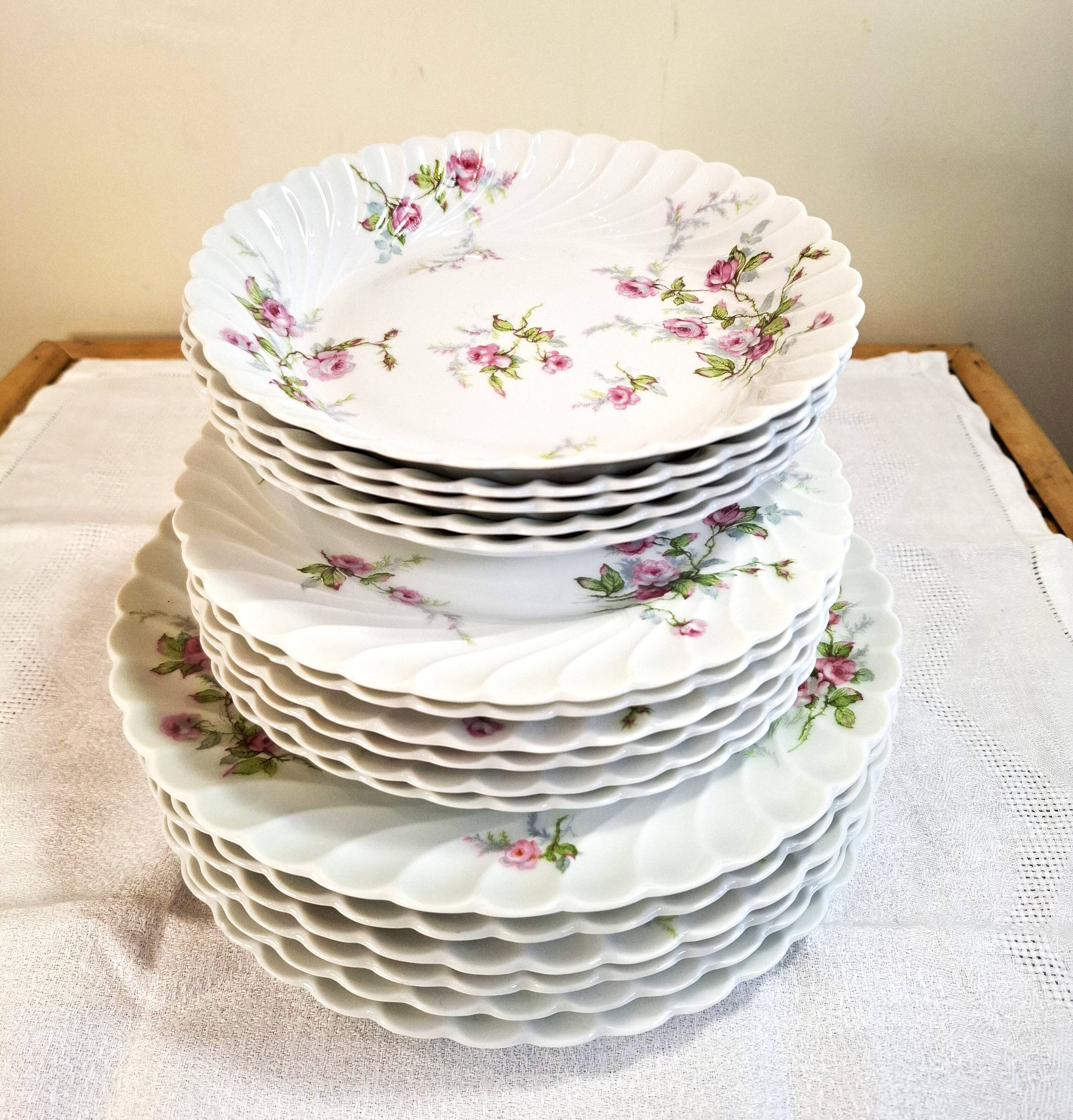 Haviland Limoges porcelain plates