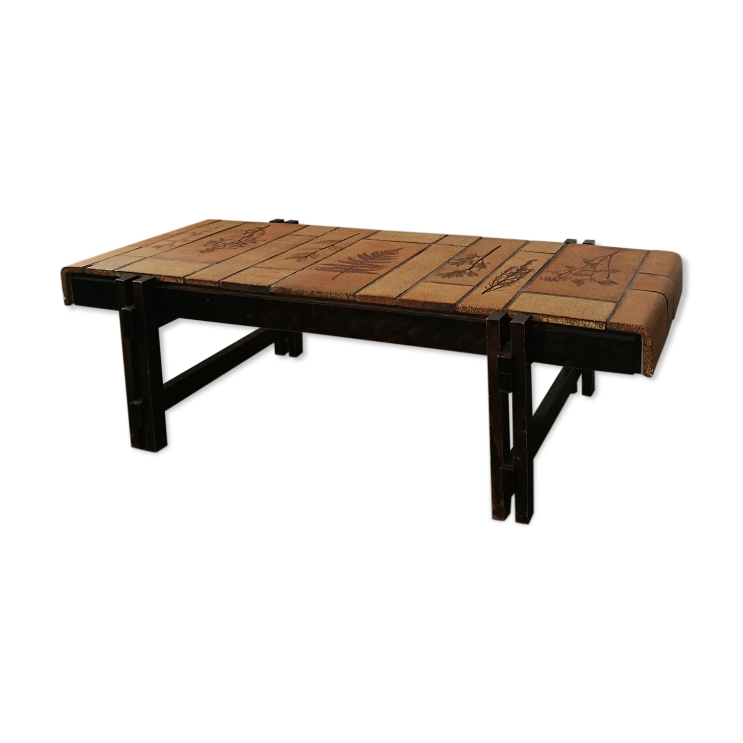 Capron herbarium model coffee table