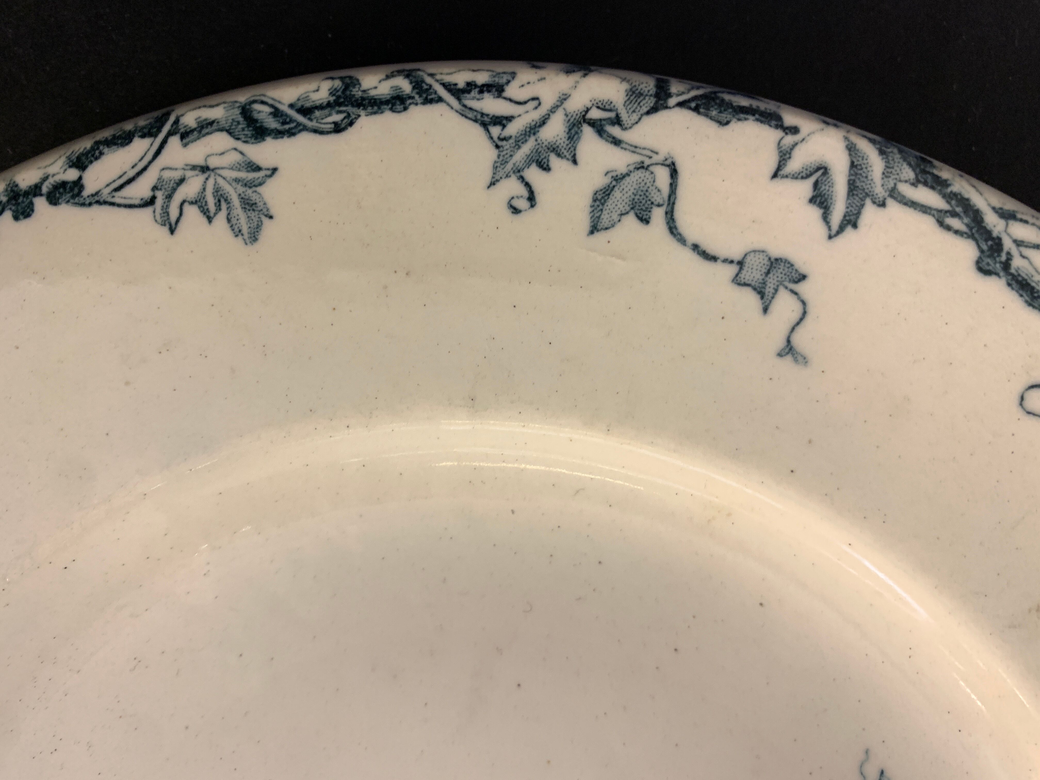 Set of 10 dessert plates KG Lunéville Passiflore model