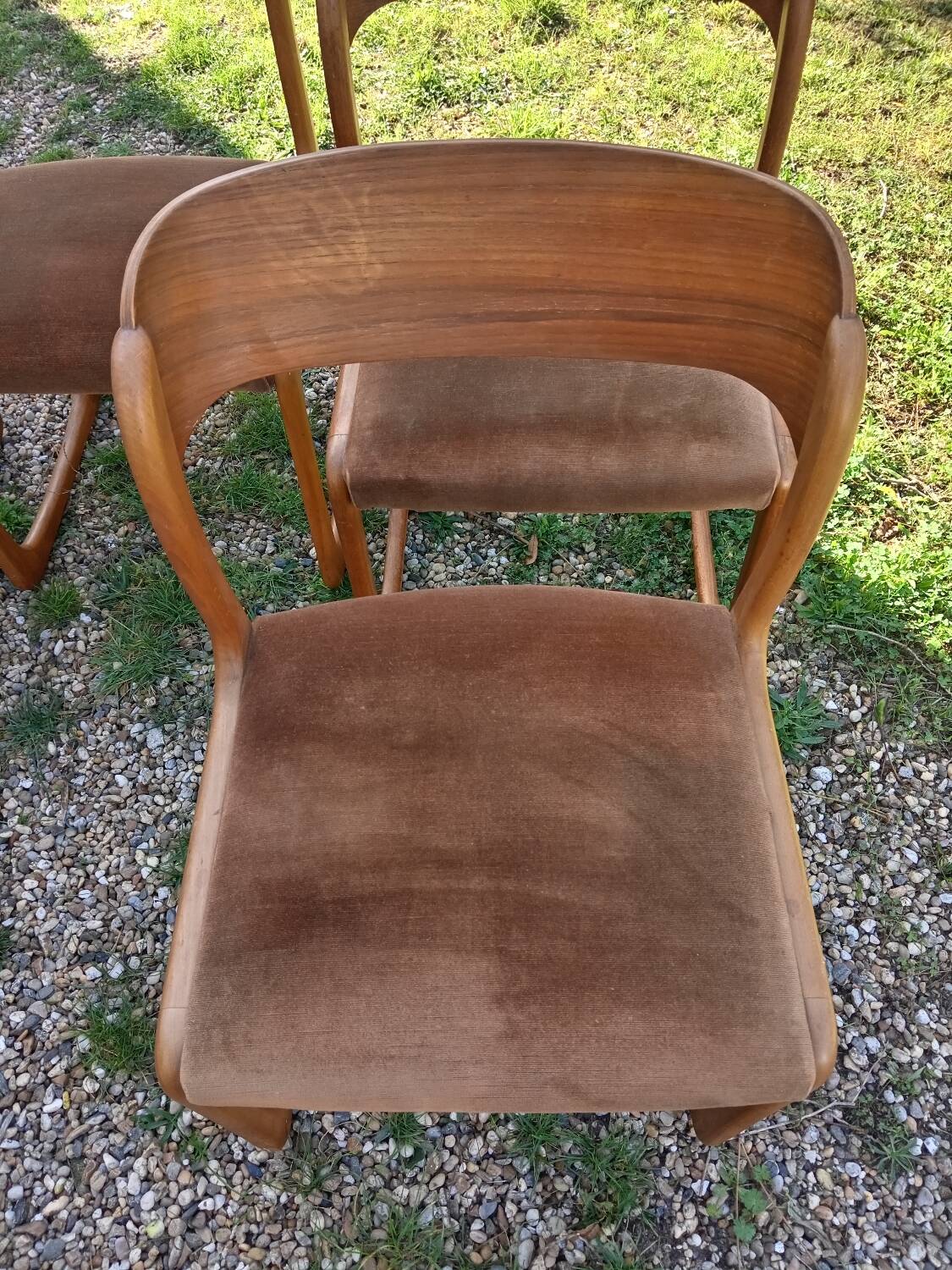Baumann sled chairs