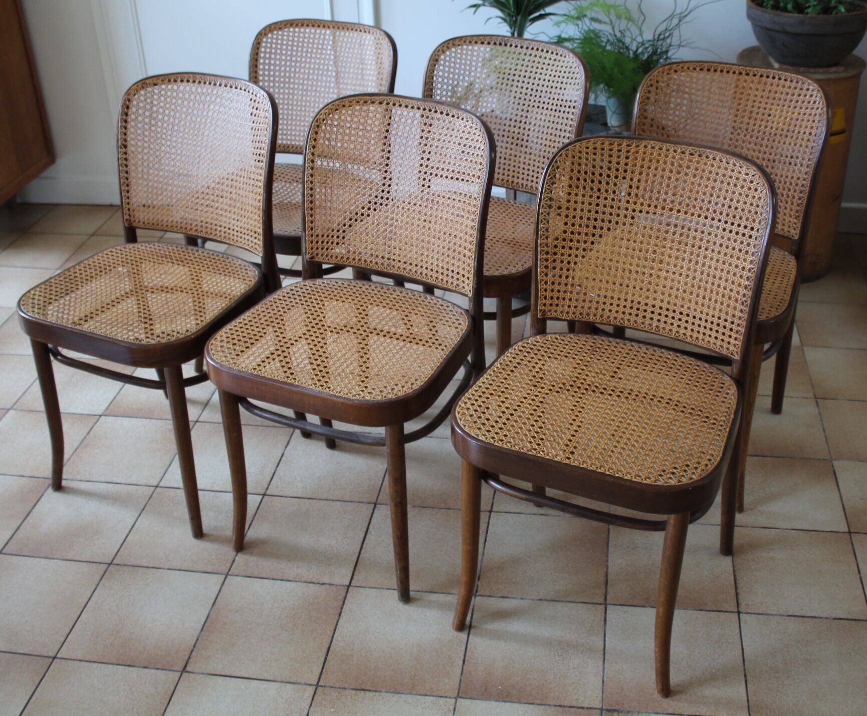 Set of 6 chairs canned drevounia
