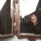 Mirror triptych from the 1940s on base 62x40cm