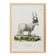Poster about the mouflon, based on an old engraving from 1774.