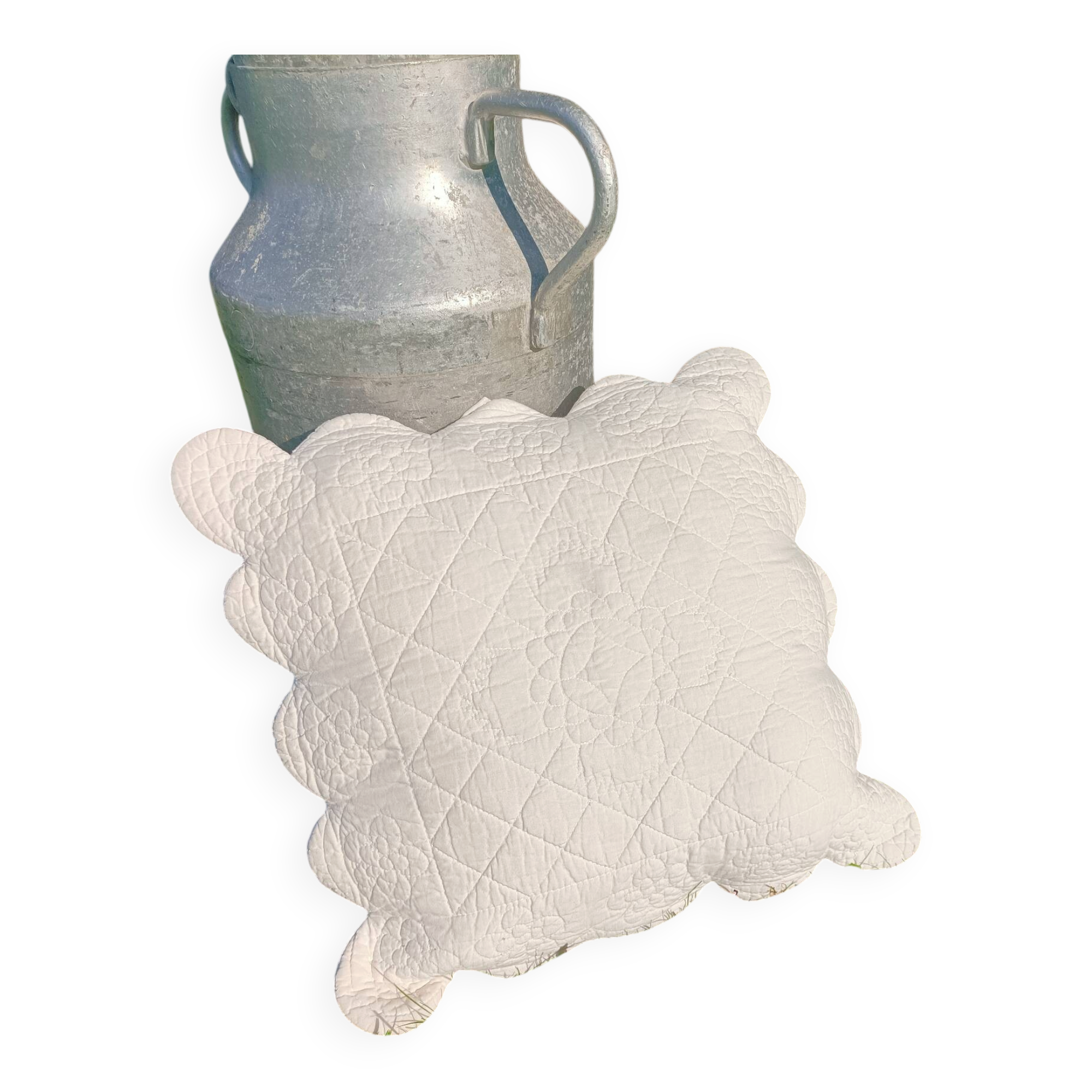 Retro Provence cushion
