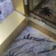 Vintage coffee table golden aluminum