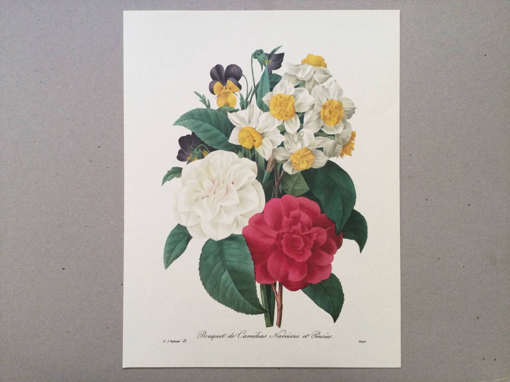 Impression vintage Fleur Bouquet de Camélias