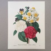 Impression vintage Fleur Bouquet de Camélias