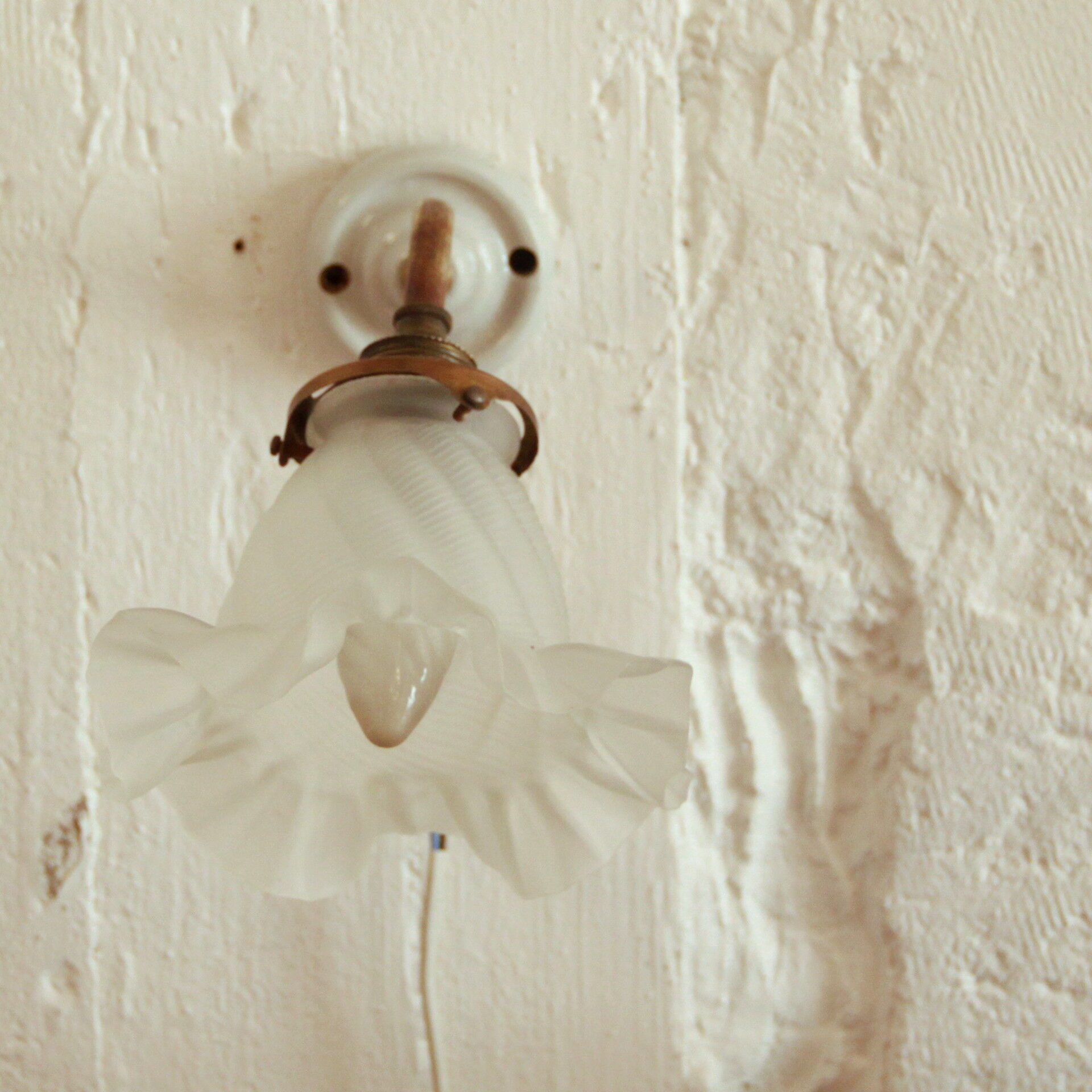 Apply wall collar brass and porcelain swan tulip glass