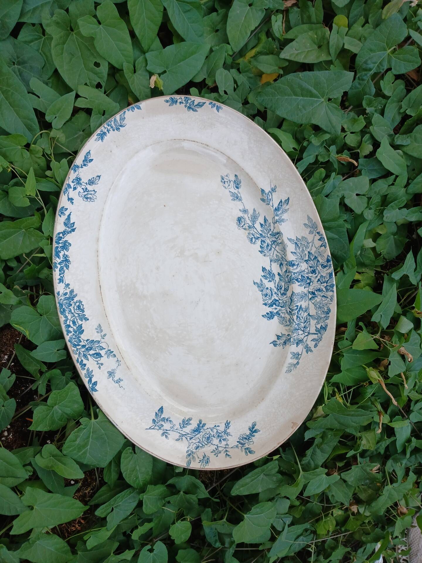 Old plate in Creil and Montereau ironstone