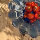 Vintage fruit bowl in bluish glass