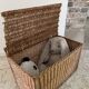 Vintage Rattan Chest Basket