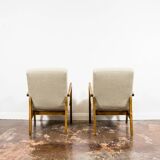 Pair of vintage 300-138 armchairs by Bystrzyckie Fabryki Mebli, 1960s
