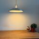 Vintage Danish Nordisk Solar - in style of Louis Poulsen Klassependel - Silver space age lamp