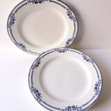 Set 6 assiettes plates Terre de fer