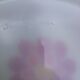 Set of 8 flat plates Arcopal with flowers