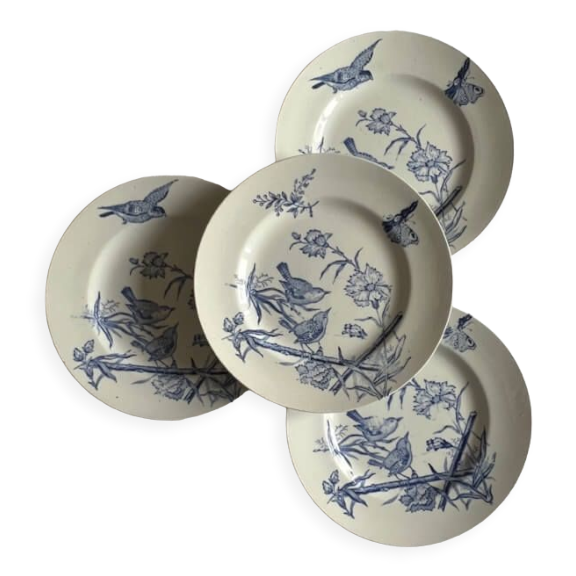 Set of 4 plates in iron earth, Aucella de Saint Amand