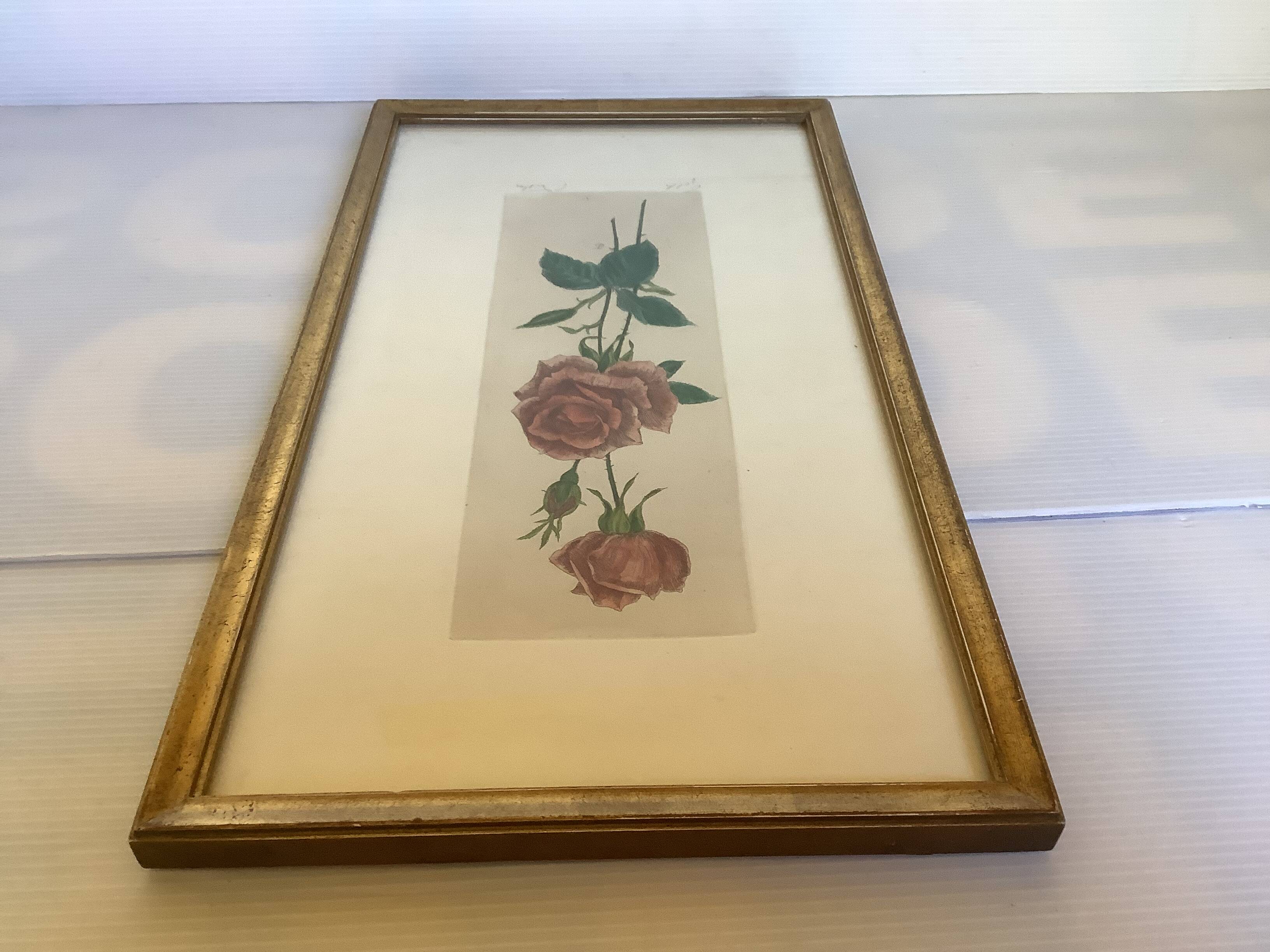 Pink rose flowers frame