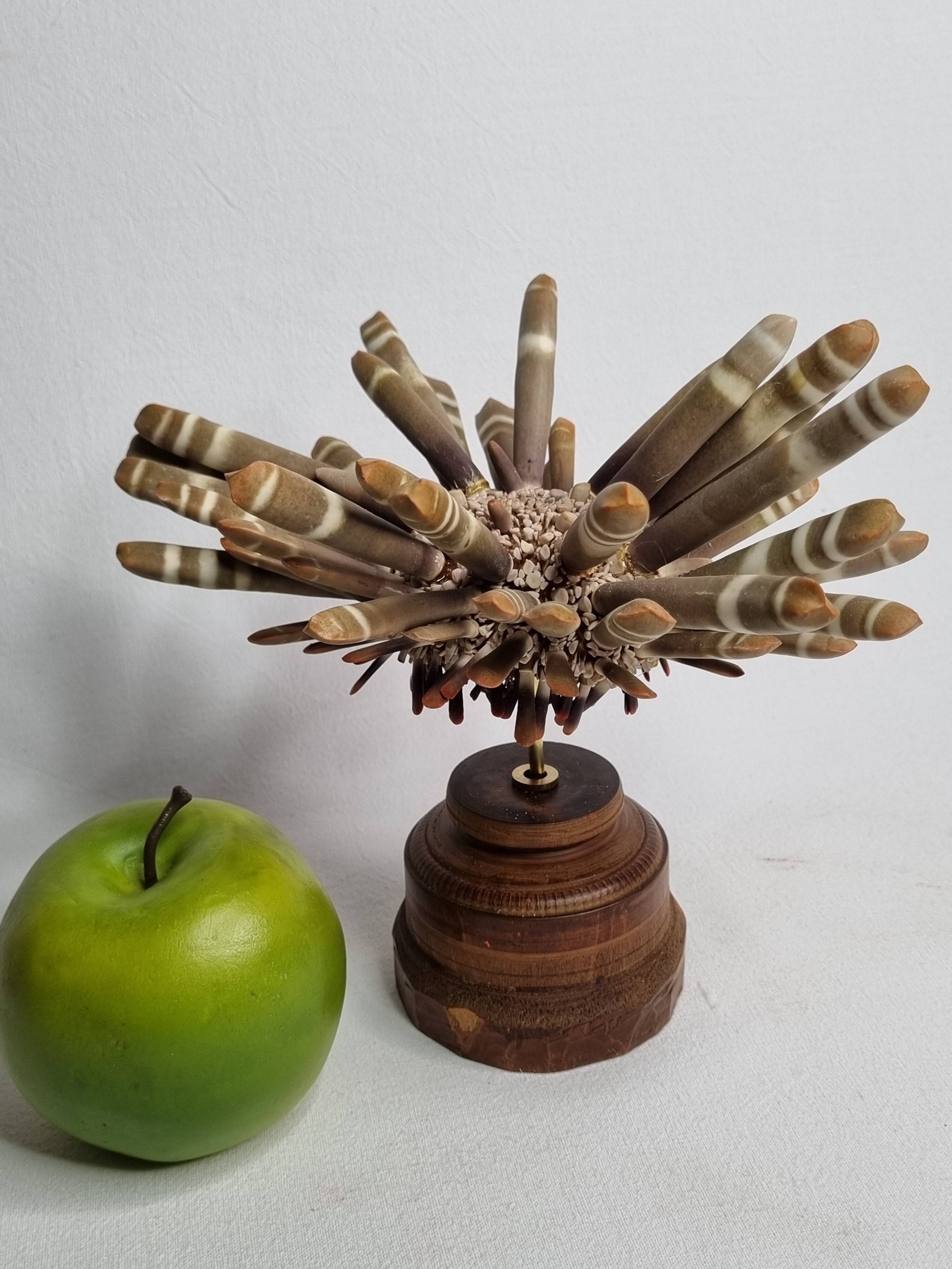 Antique sea urchin pencil on turned wooden base, 22 cm