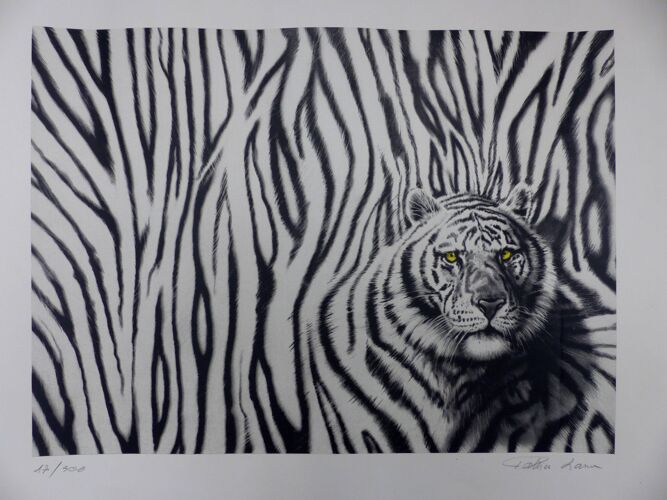 Black and white tiger signed lithograph