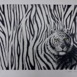 Black and white tiger signed lithograph