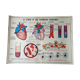 Poster school - heart vessels and duplex absorption