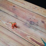 Old draper table 8/10 people, 2,70m