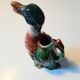 Duck pitcher