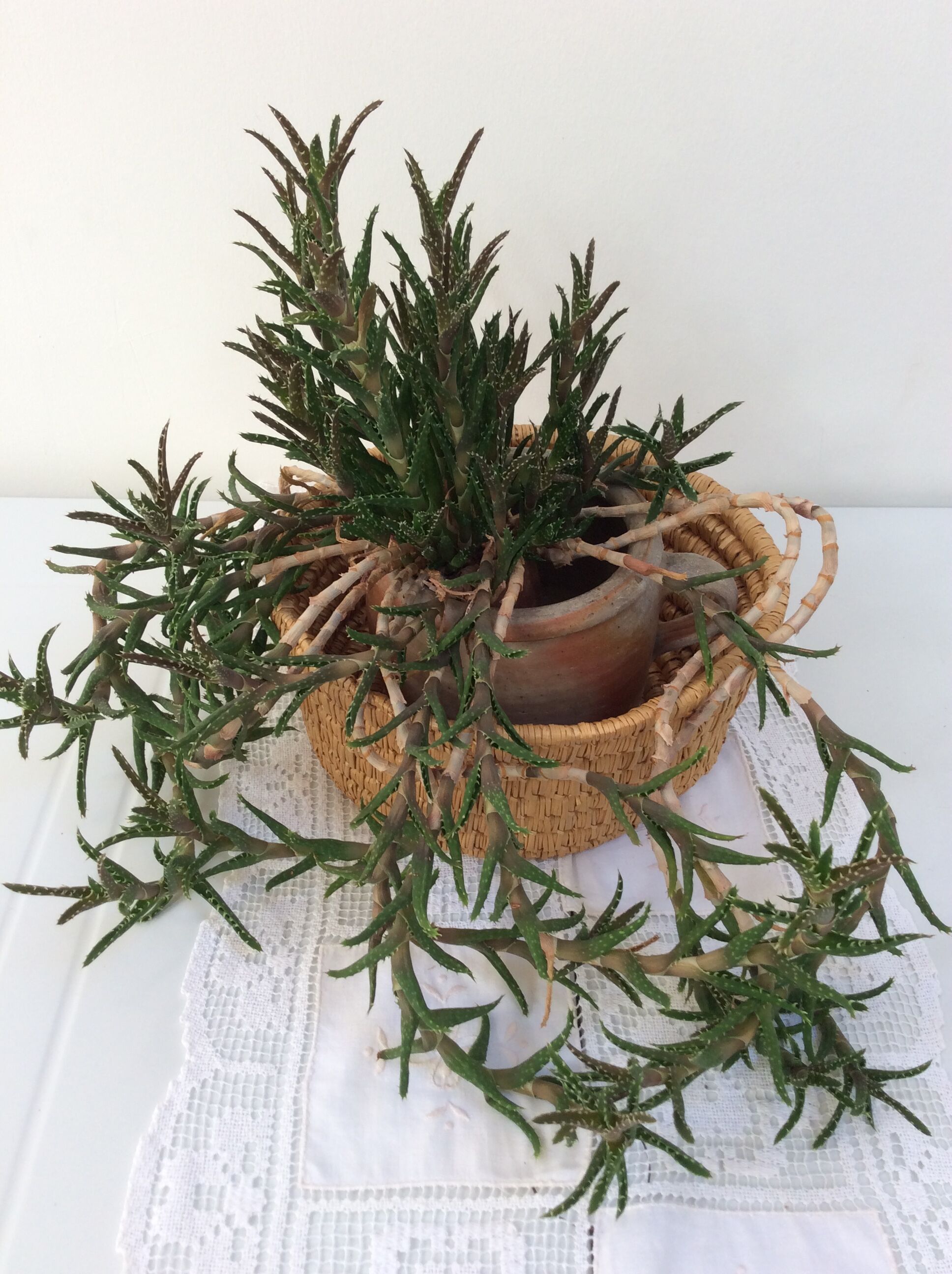 Basket round straw vintage