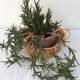 Basket round straw vintage