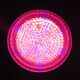 Lamp, Vintage Design stainless steel wall lamp with its colorful bulb provided!