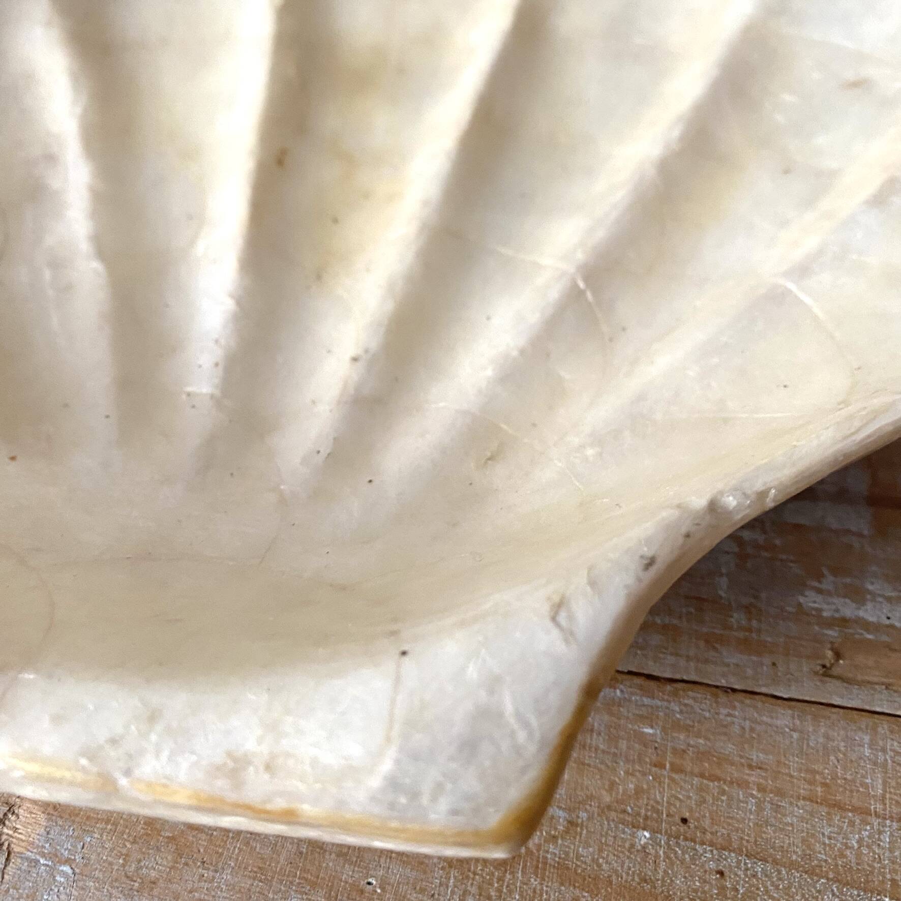 Vide poche vintage coquillage en nacre de Capiz